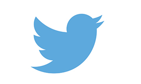 Twitter launches NFT profile display option for Twitter Blue subscribers 